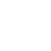 Performance<br/>Digital